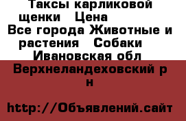 Таксы карликовой щенки › Цена ­ 20 000 - Все города Животные и растения » Собаки   . Ивановская обл.,Верхнеландеховский р-н
